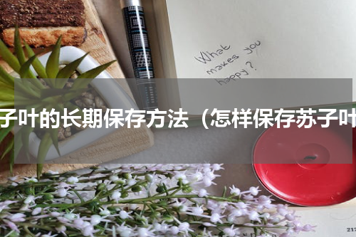 苏子叶的长期保存方法（怎样保存苏子叶）