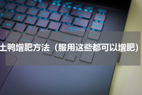 土鸭增肥方法（服用这些都可以增肥）