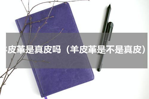 羊皮革是真皮吗（羊皮革是不是真皮）