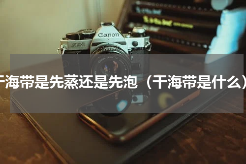 干海带是先蒸还是先泡（干海带是什么）