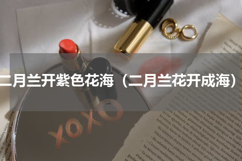 二月兰开紫色花海（二月兰花开成海）