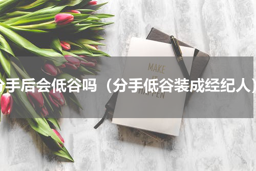 分手后会低谷吗（分手低谷装成经纪人）