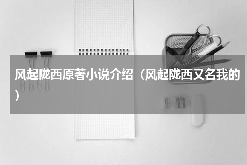 风起陇西原著小说介绍（风起陇西又名我的）
