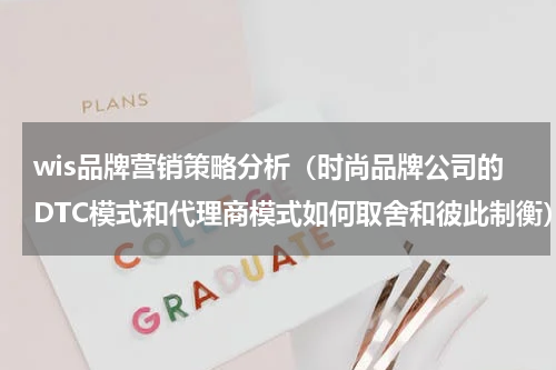 wis品牌营销策略分析（时尚品牌公司的DTC模式和代理商模式如何取舍和彼此制衡）