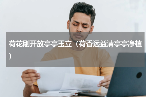 荷花刚开放亭亭玉立（荷香远益清亭亭净植）