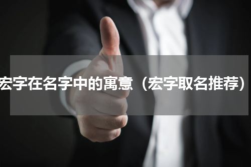 宏字在名字中的寓意（宏字取名推荐）