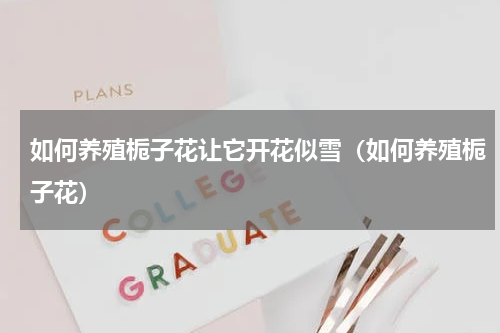 如何养殖栀子花让它开花似雪（如何养殖栀子花）