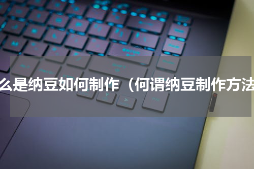 什么是纳豆如何制作（何谓纳豆制作方法）