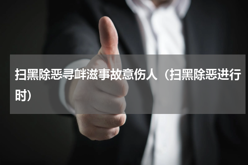 扫黑除恶寻衅滋事故意伤人（扫黑除恶进行时）