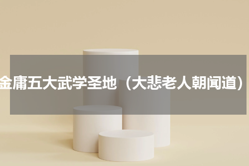 金庸五大武学圣地（大悲老人朝闻道）