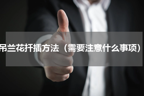 吊兰花扦插方法（需要注意什么事项）