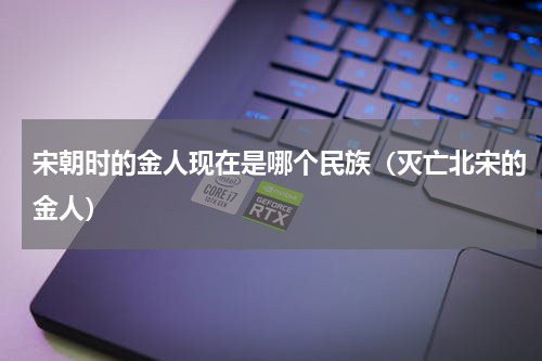 宋朝时的金人现在是哪个民族（灭亡北宋的金人）