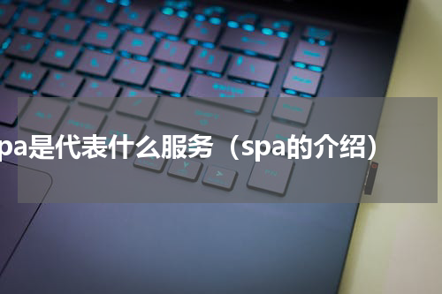 spa是代表什么服务（spa的介绍）