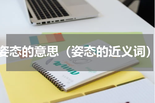 姿态的意思（姿态的近义词）
