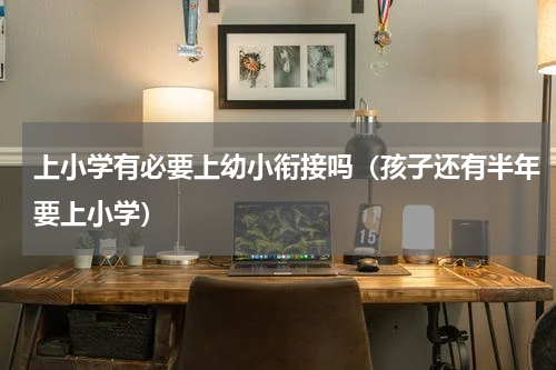 上小学有必要上幼小衔接吗（孩子还有半年要上小学）