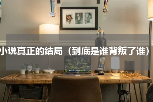 小说真正的结局（到底是谁背叛了谁）