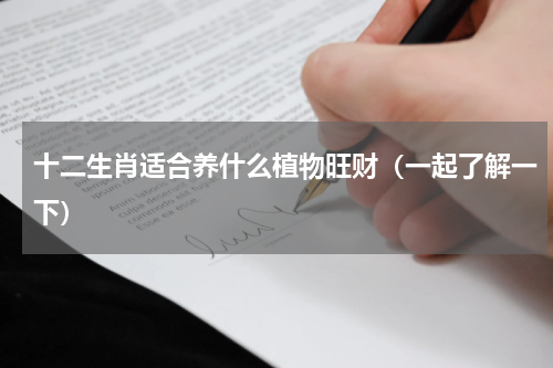十二生肖适合养什么植物旺财（一起了解一下）