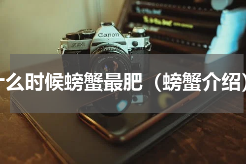 什么时候螃蟹最肥（螃蟹介绍）
