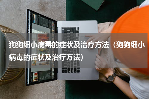 狗狗细小病毒的症状及治疗方法（狗狗细小病毒的症状及治疗方法）