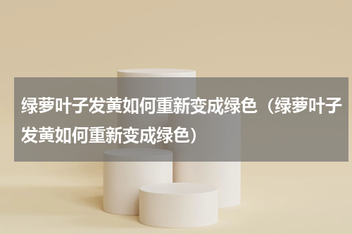 绿萝叶子发黄如何重新变成绿色（绿萝叶子发黄如何重新变成绿色）