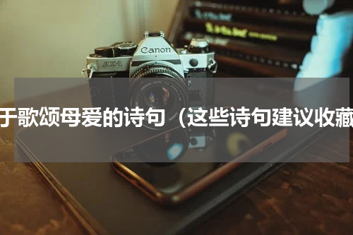 关于歌颂母爱的诗句（这些诗句建议收藏）