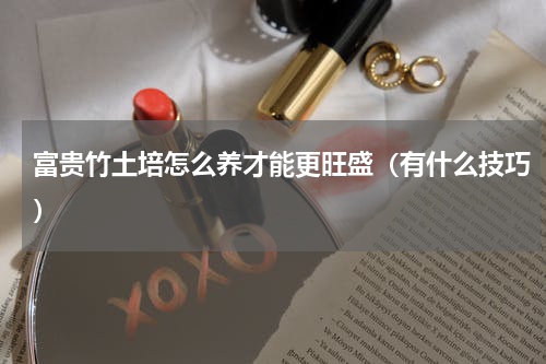 富贵竹土培怎么养才能更旺盛（有什么技巧）