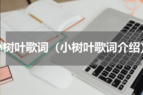 小树叶歌词（小树叶歌词介绍）