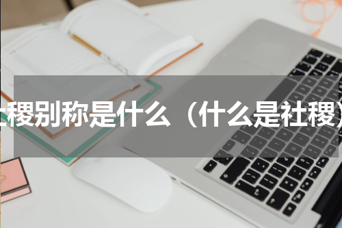 社稷别称是什么（什么是社稷）