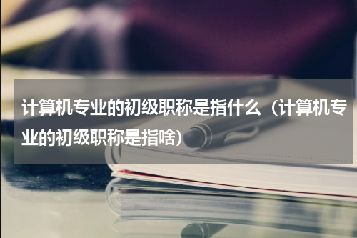 计算机专业的初级职称是指什么（计算机专业的初级职称是指啥）