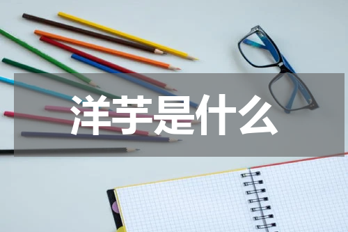 洋芋是什么