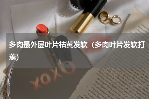 多肉最外层叶片枯黄发软（多肉叶片发软打蔫）