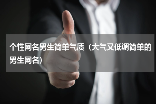 个性网名男生简单气质（大气又低调简单的男生网名）