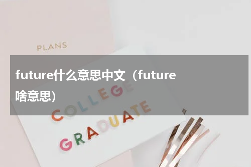 future什么意思中文（future啥意思）