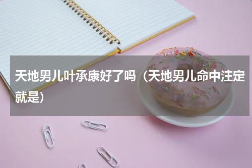 天地男儿叶承康好了吗（天地男儿命中注定就是）