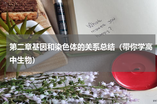 第二章基因和染色体的关系总结（带你学高中生物）