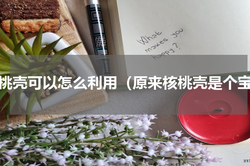 核桃壳可以怎么利用（原来核桃壳是个宝）