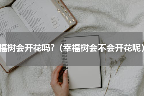 幸福树会开花吗?（幸福树会不会开花呢）