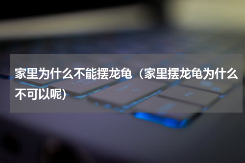家里为什么不能摆龙龟（家里摆龙龟为什么不可以呢）