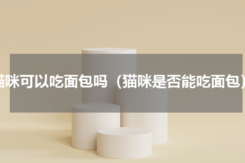 猫咪可以吃面包吗（猫咪是否能吃面包）