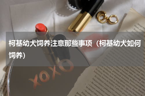 柯基幼犬饲养注意那些事项（柯基幼犬如何饲养）