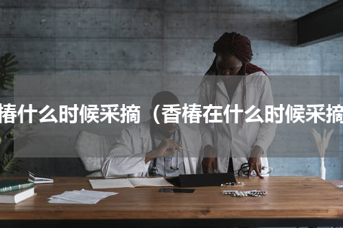 香椿什么时候采摘（香椿在什么时候采摘）