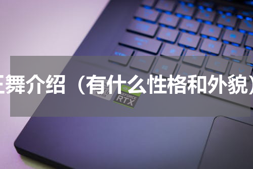 王舞介绍（有什么性格和外貌）