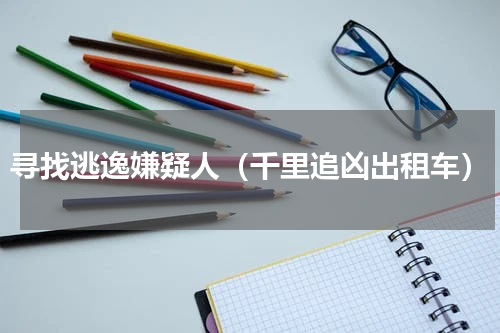 寻找逃逸嫌疑人（千里追凶出租车）