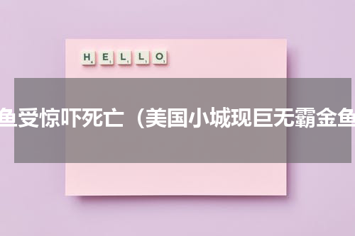 金鱼受惊吓死亡（美国小城现巨无霸金鱼）