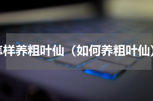怎样养粗叶仙（如何养粗叶仙）