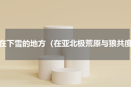 狼在下雪的地方（在亚北极荒原与狼共度）