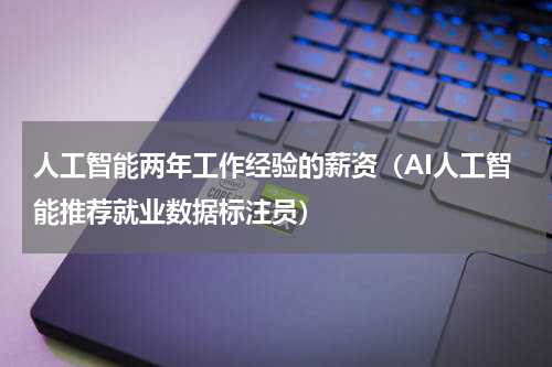 人工智能两年工作经验的薪资（AI人工智能推荐就业数据标注员）