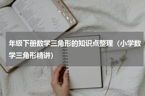年级下册数学三角形的知识点整理（小学数学三角形精讲）