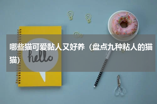 哪些猫可爱黏人又好养（盘点九种粘人的猫猫）