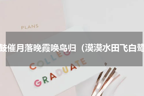 暮鼓催月落晚霞唤鸟归（漠漠水田飞白鹭）